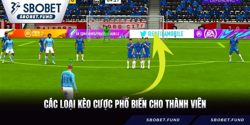 Các loại kèo cược phổ biến cho thành viên