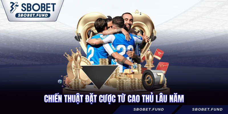 Chiến thuật đặt cược từ cao thủ lâu năm