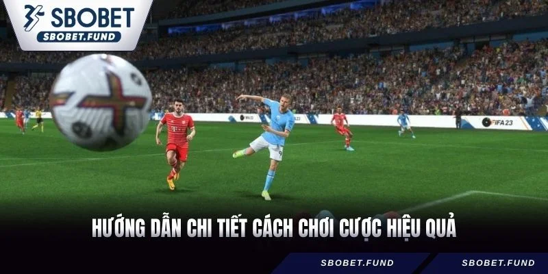 Hướng dẫn chi tiết cách chơi cược hiệu quả