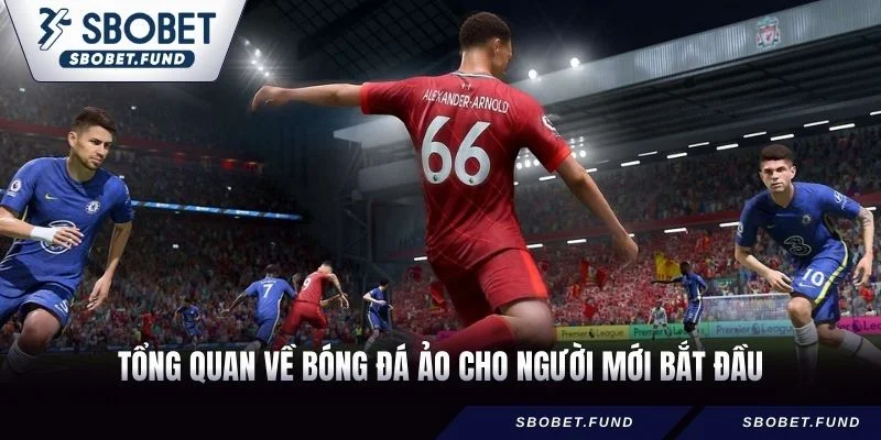 Tổng quan về bóng đá ảo cho người mới bắt đầu