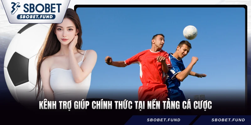 Kênh trợ giúp chính thức tại nền tảng cá cược