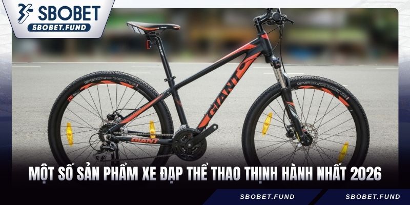 Một số sản phẩm xe đạp thể thao thịnh hành nhất 2026