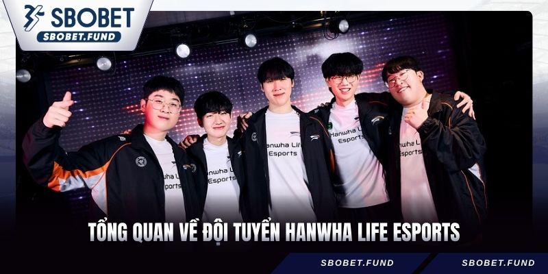 Tổng quan về đội tuyển Hanwha Life Esports