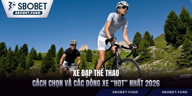 Xe Đạp Thể Thao - Cách Chọn Và Các Dòng Xe “Hot” Nhất 2026